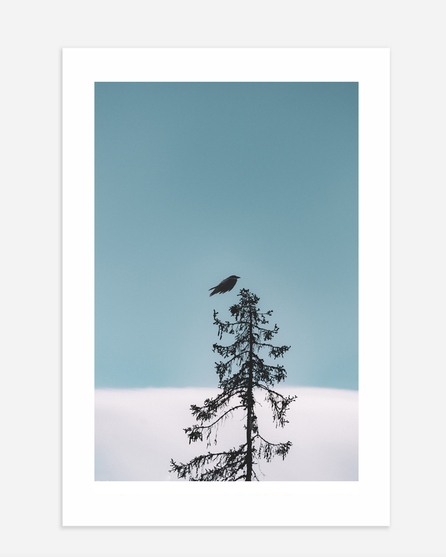 A poster of a Bird resting on tall tree against open sky