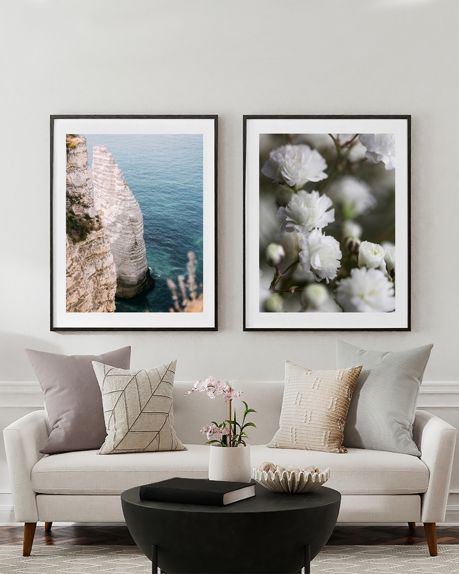 Two posters of white flowers and rock in water on a white wall