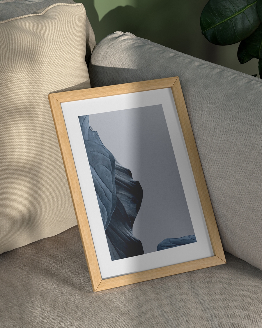 A frame dried blue navy on a beige couch