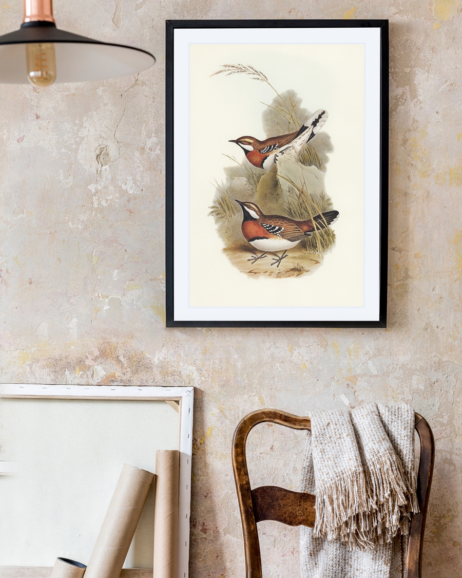 A poster of a Illustrated birds standing and flying in natural setting