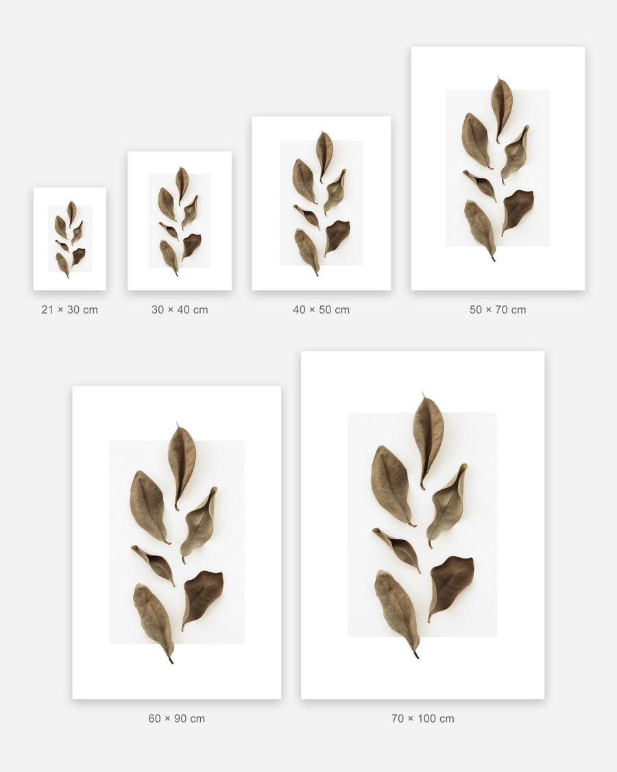 Dried Leaf Study poster in 6 sizes, shown to scale: 21 × 30, 30 × 40, 40 × 50, 50 × 70, 60 × 90 and 70 × 100 cm