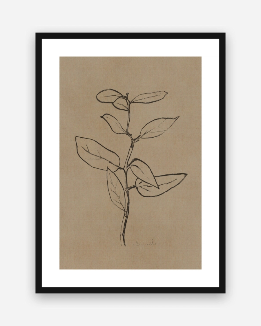Charcoal Sprig poster with a white border in a black frame