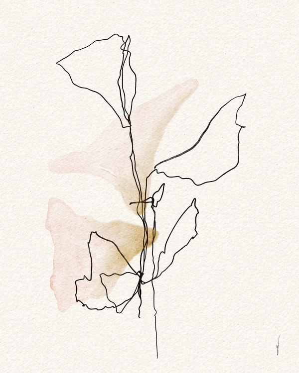 One-line ink drawing of a leafy stem with blush pink and ochre watercolor washes on cream paper