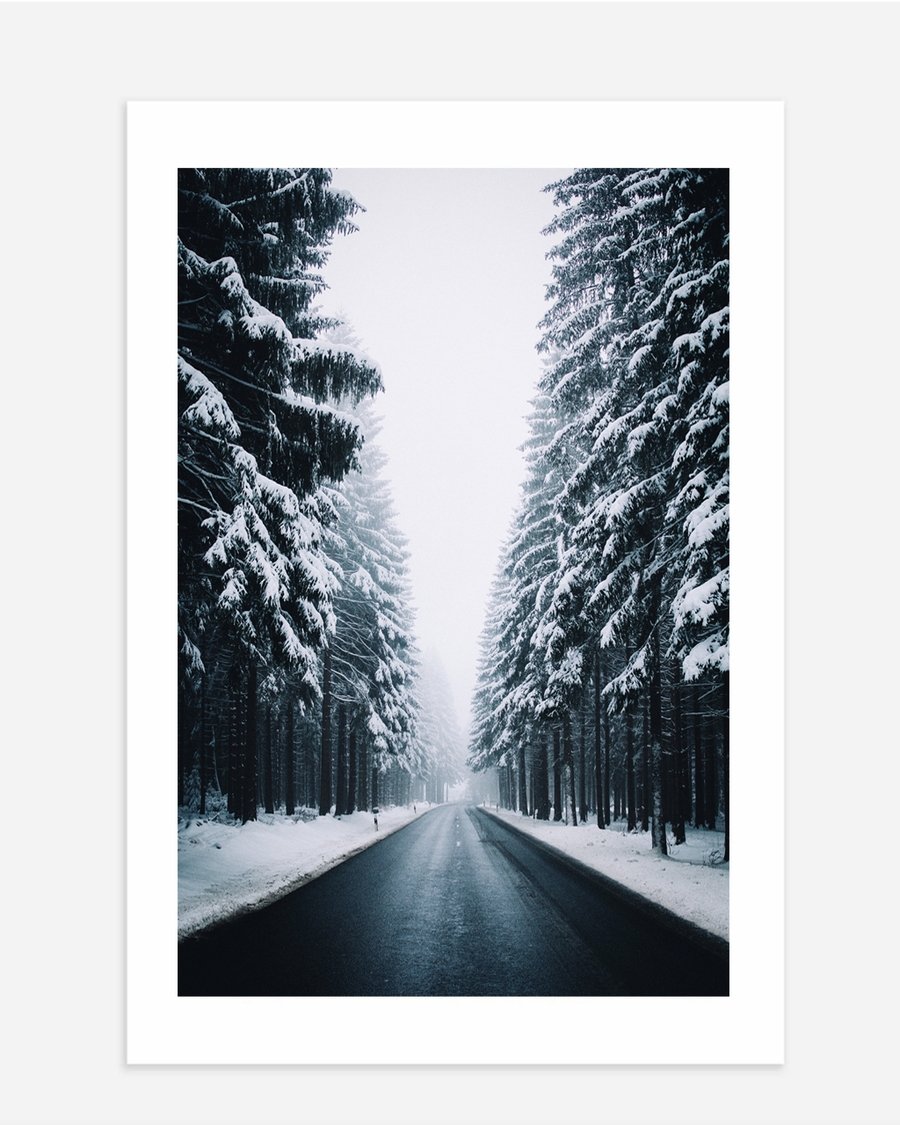 A poster of a Empty winter road lined with snow-covered pine trees