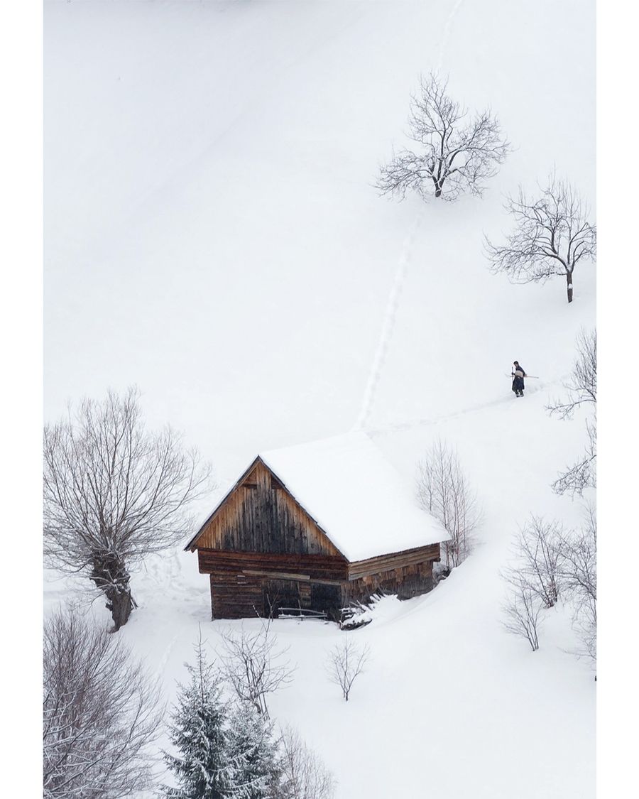 Wooden cabin in snowy landscape with bare trees