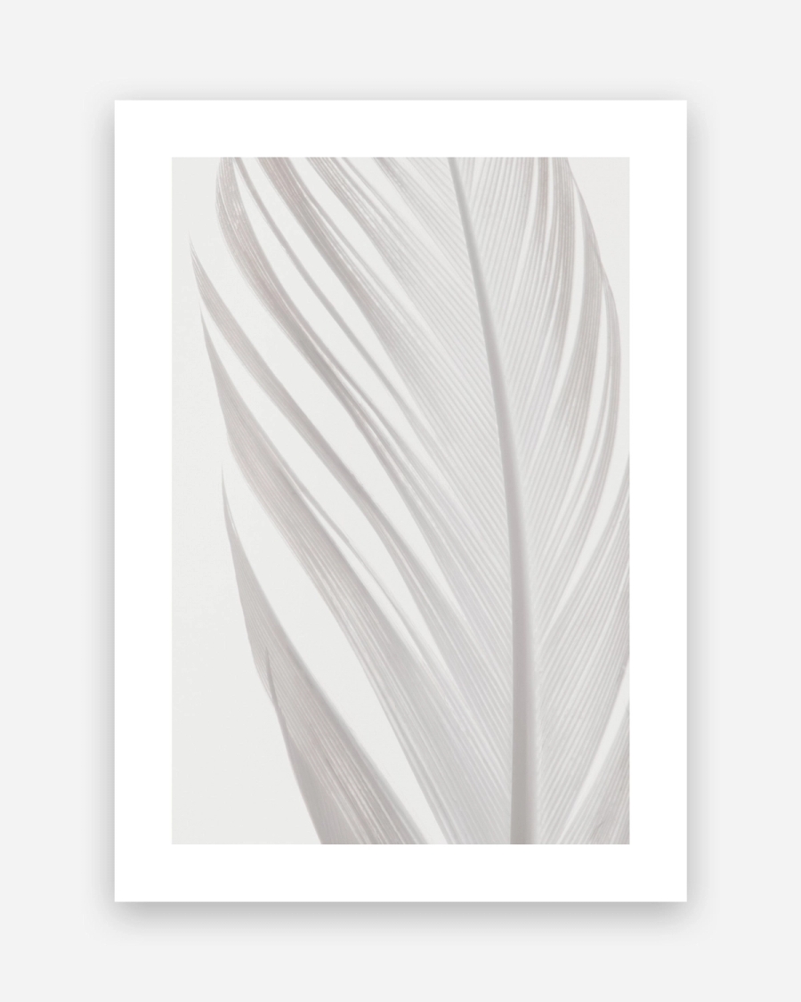 White Plume poster with a white border, unframed on a light gray background