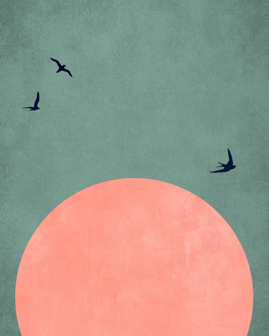Graphic illustration of a large coral sun and three dark birds against a dusty green sky