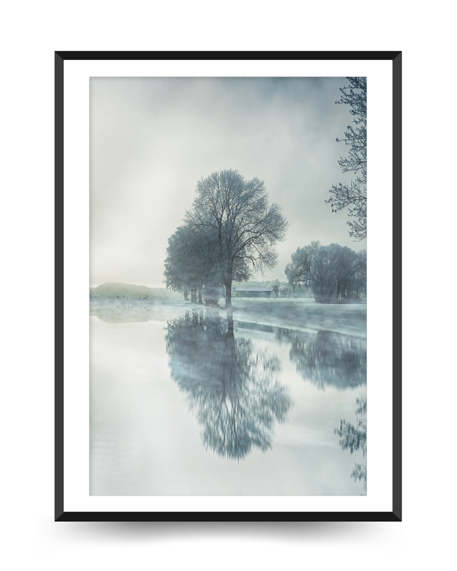 A poster of a Frosty trees reflected in calm misty winter water