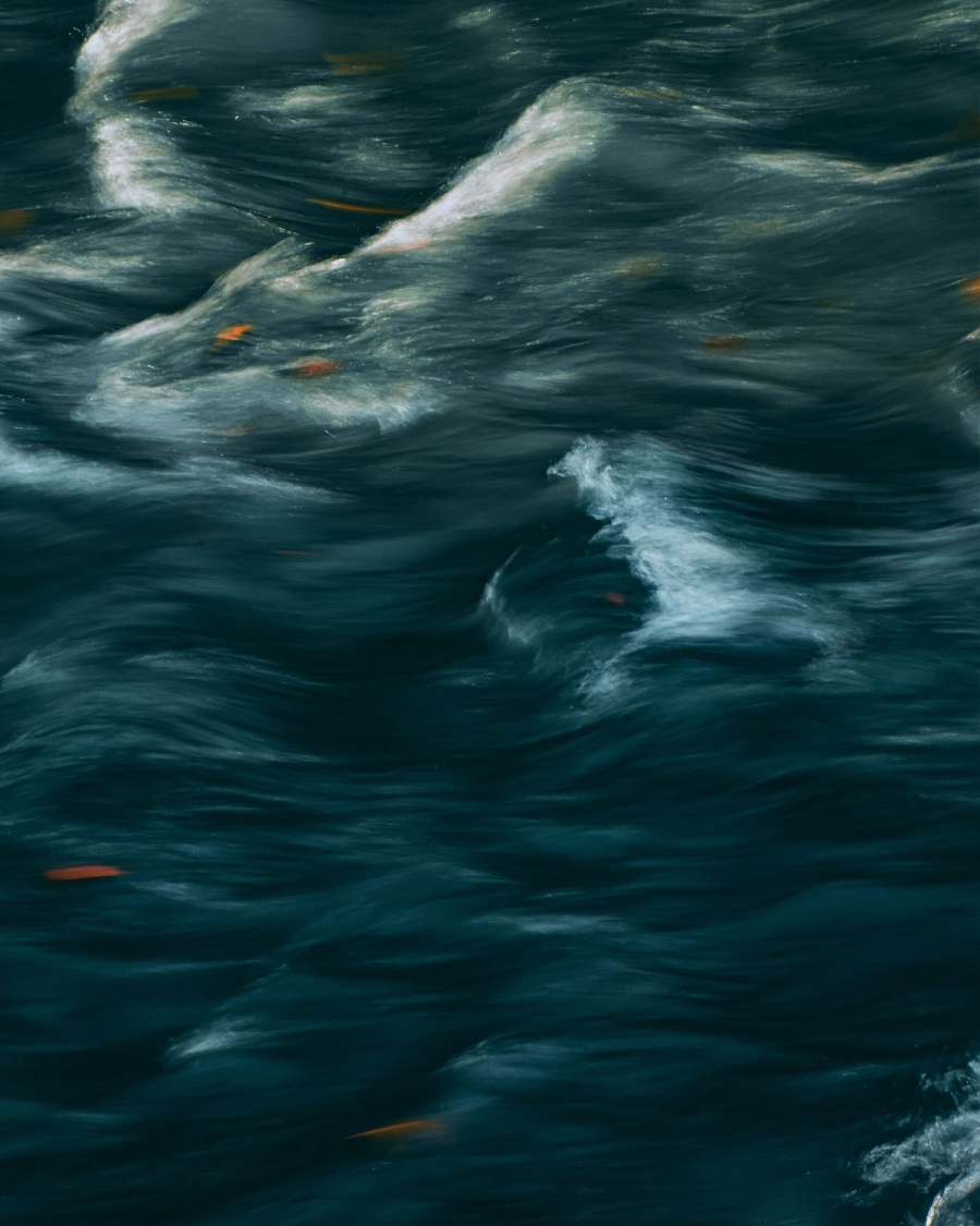 Long-exposure photograph of dark teal water with white foam and small orange leaves drifting on the surface