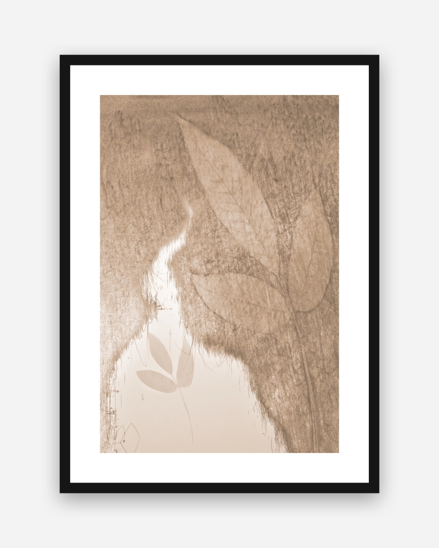 Sepia Leaf Veil poster with a white border in a black frame