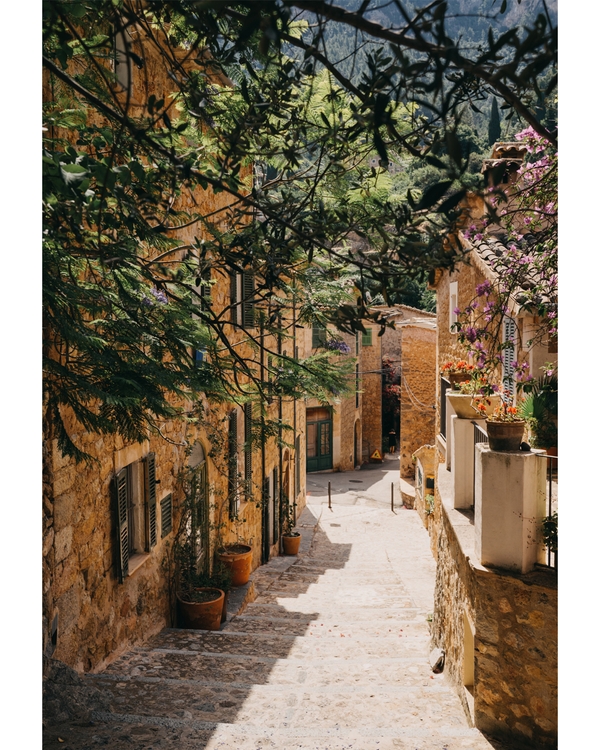 Sunlit Mediterranean alley with stone houses and flowers