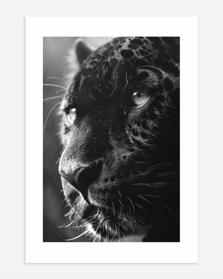 A poster of a Black and white leopard close up portrait