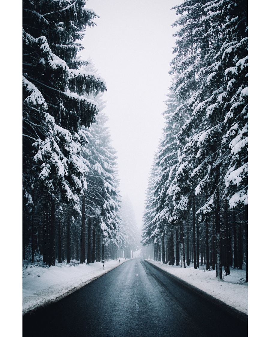 Empty winter road lined with snow-covered pine trees.