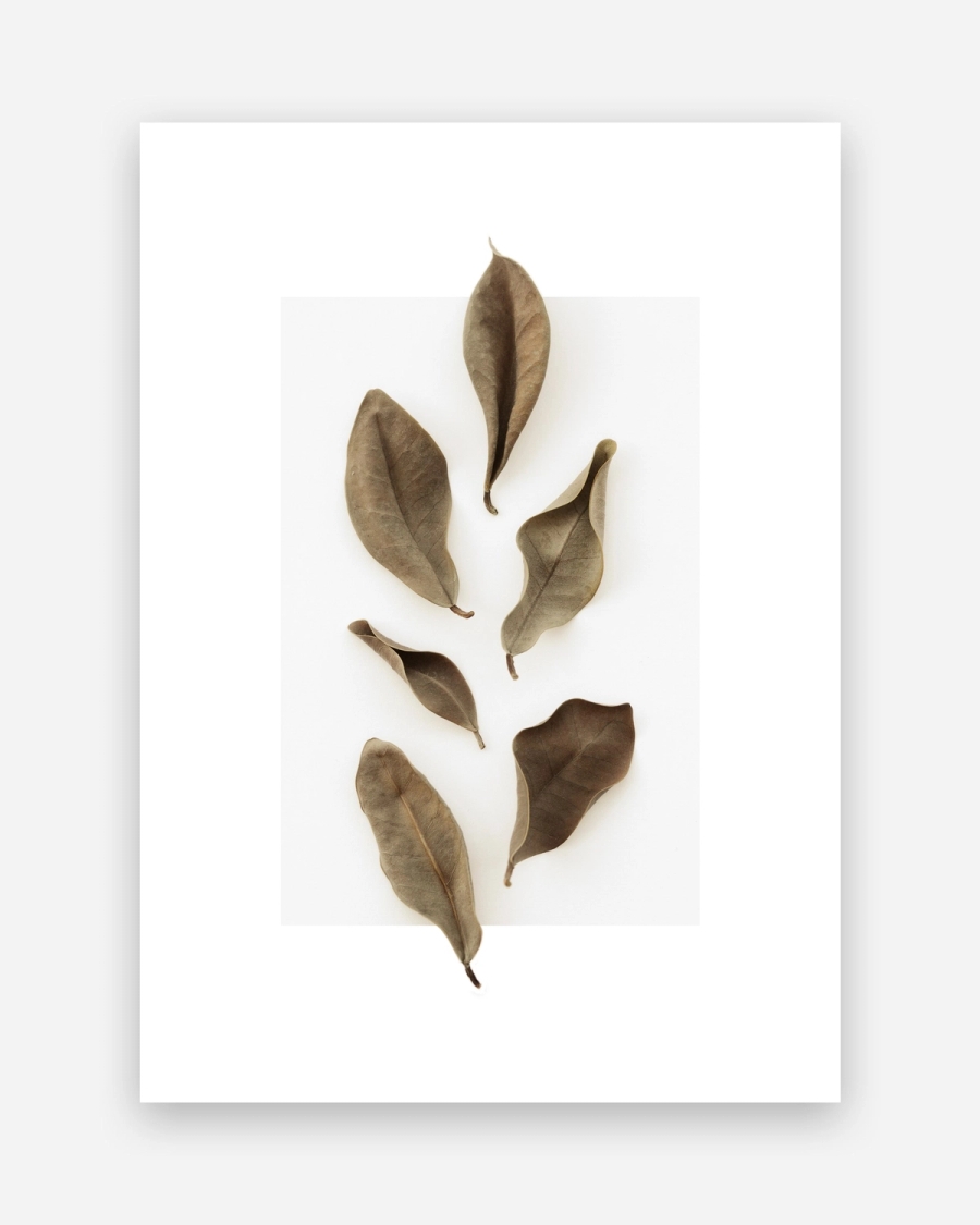 Dried Leaf Study poster with a white border, unframed on a light gray background