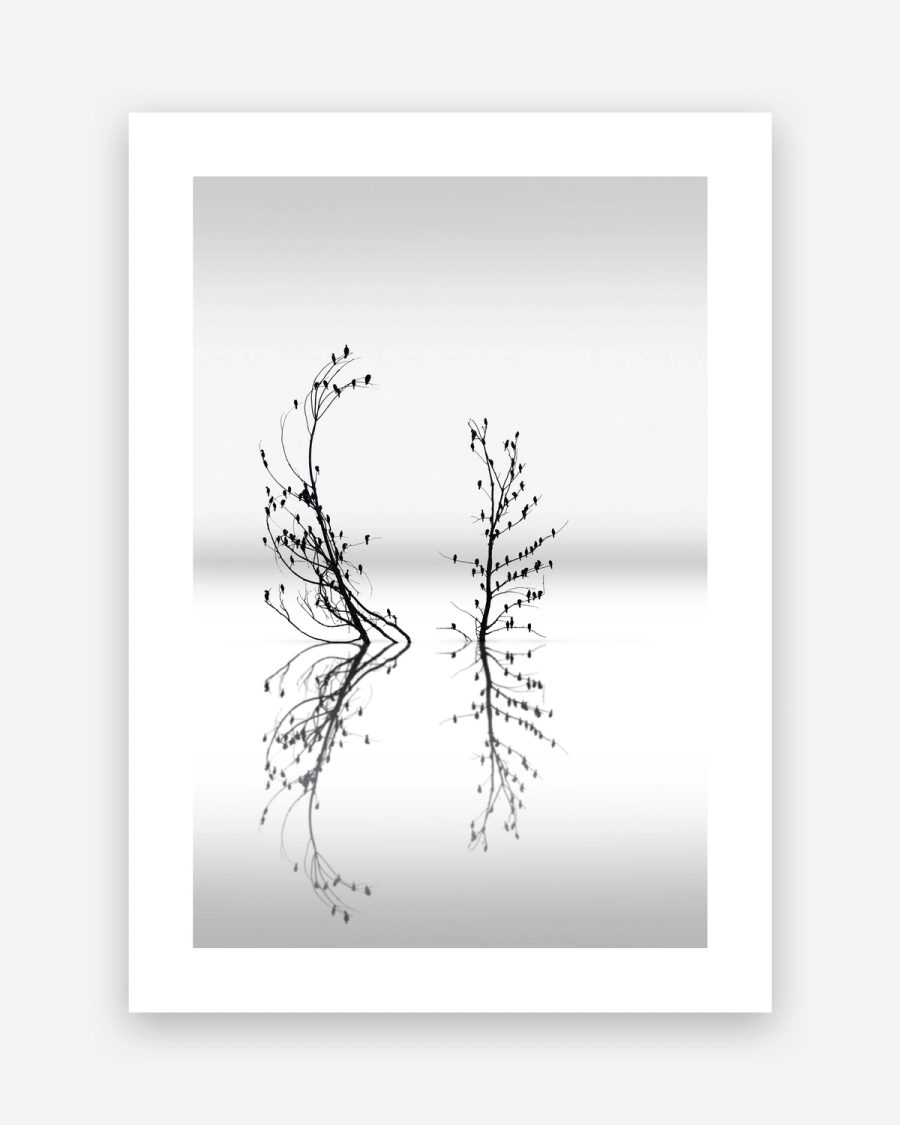 Birds on Still Water poster with a white border, unframed on a light gray background