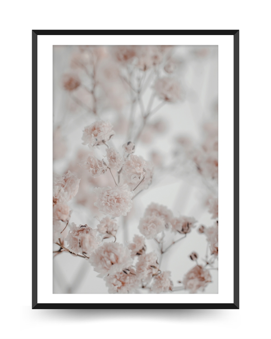 A poster of a Soft pale flowers with airy and blurred background