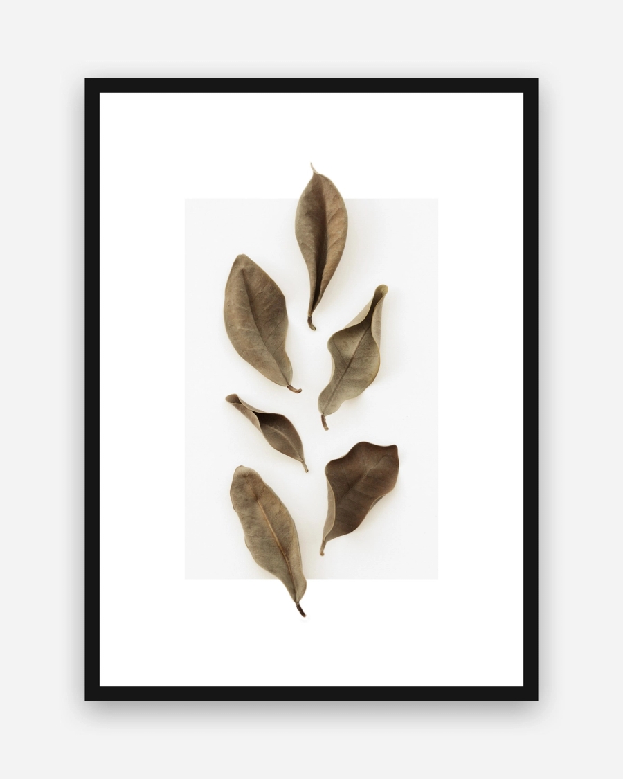 Dried Leaf Study poster with a white border in a black frame