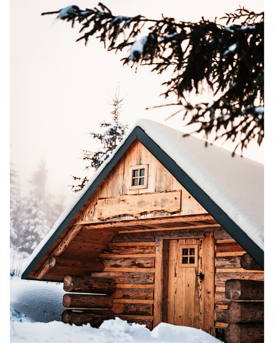 Cozy wooden cabin surrounded by snowy winter trees