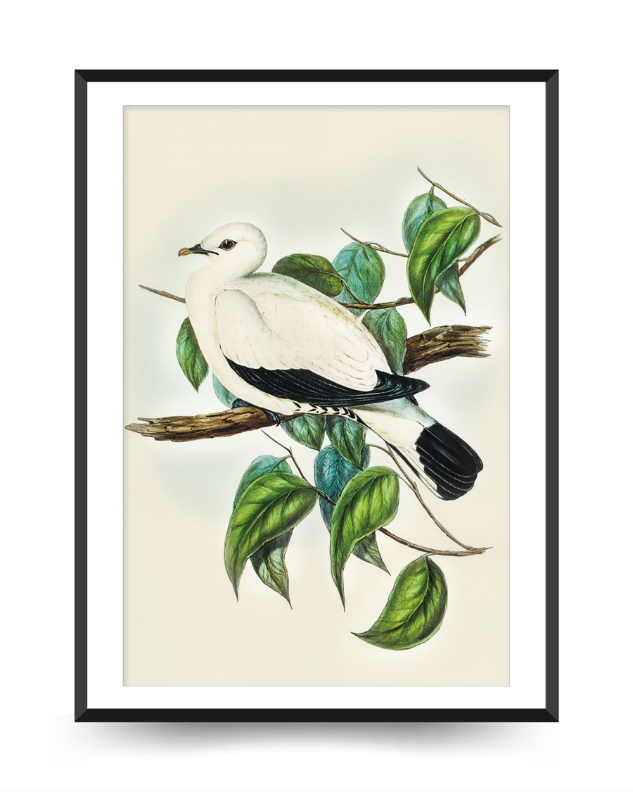 A poster of a Illustrated white bird resting on branch with leaves