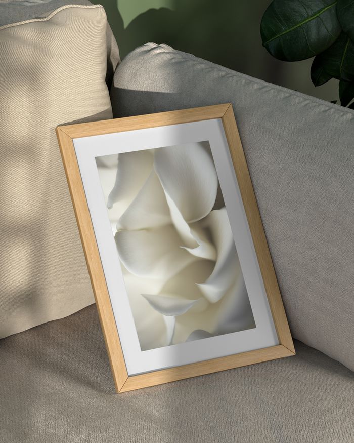 A framed poster of a close up white rose petals on a beige soffa