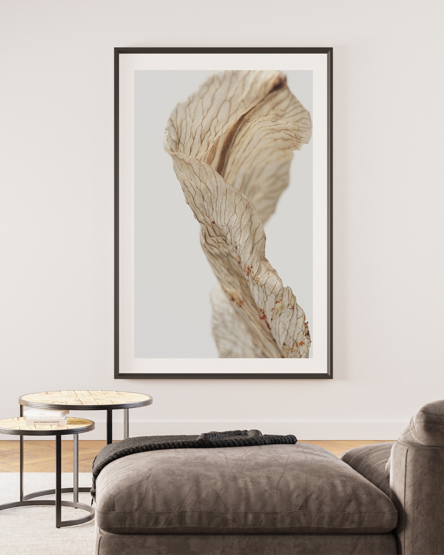 A poster of a close-up of a dried leaf with delicate, wavy veins