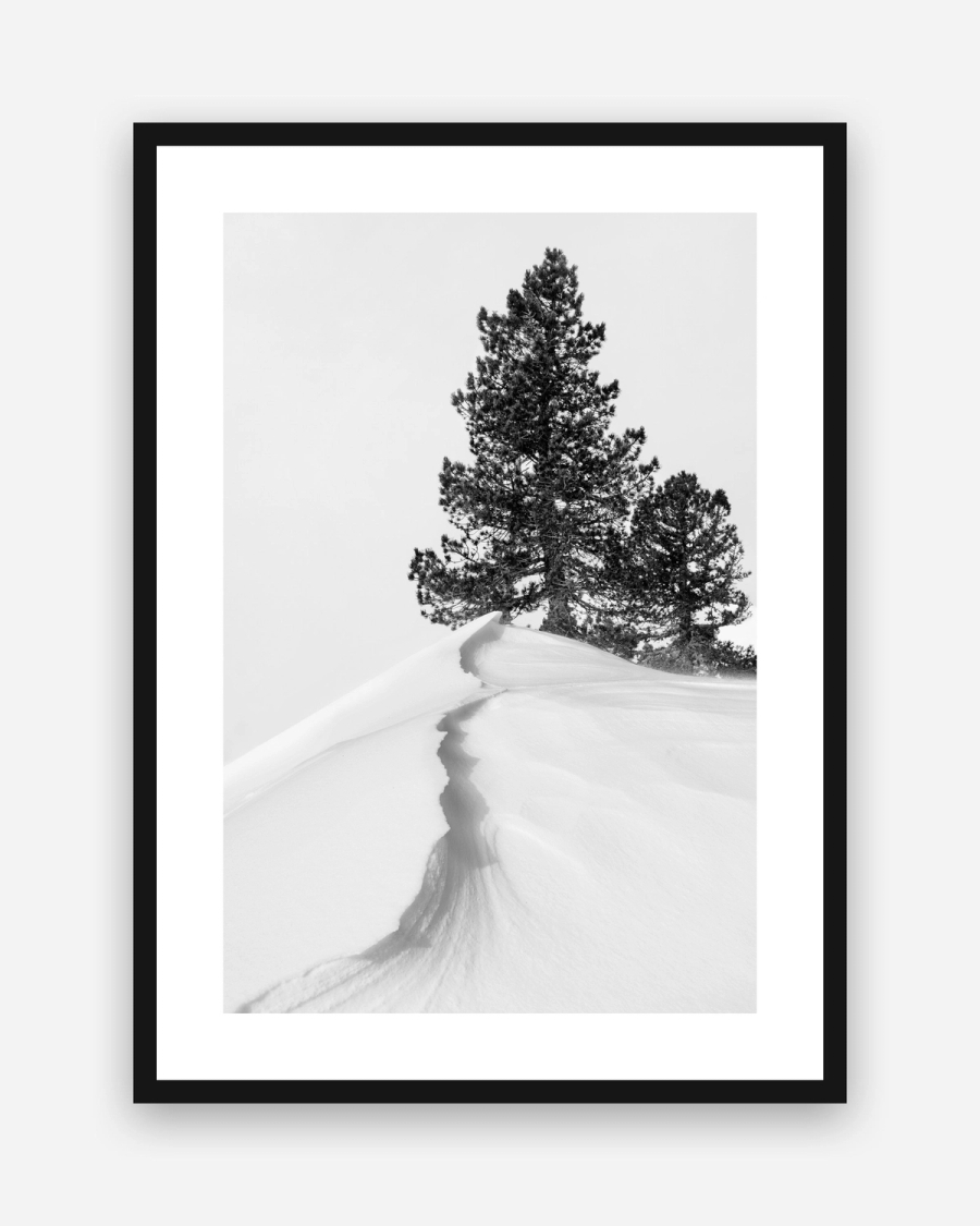 Snowdrift Pines poster with a white border in a black frame