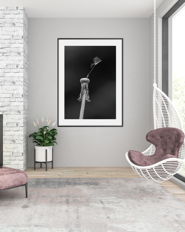The Last Seed poster in a slim black frame on a grey wall above a potted plant