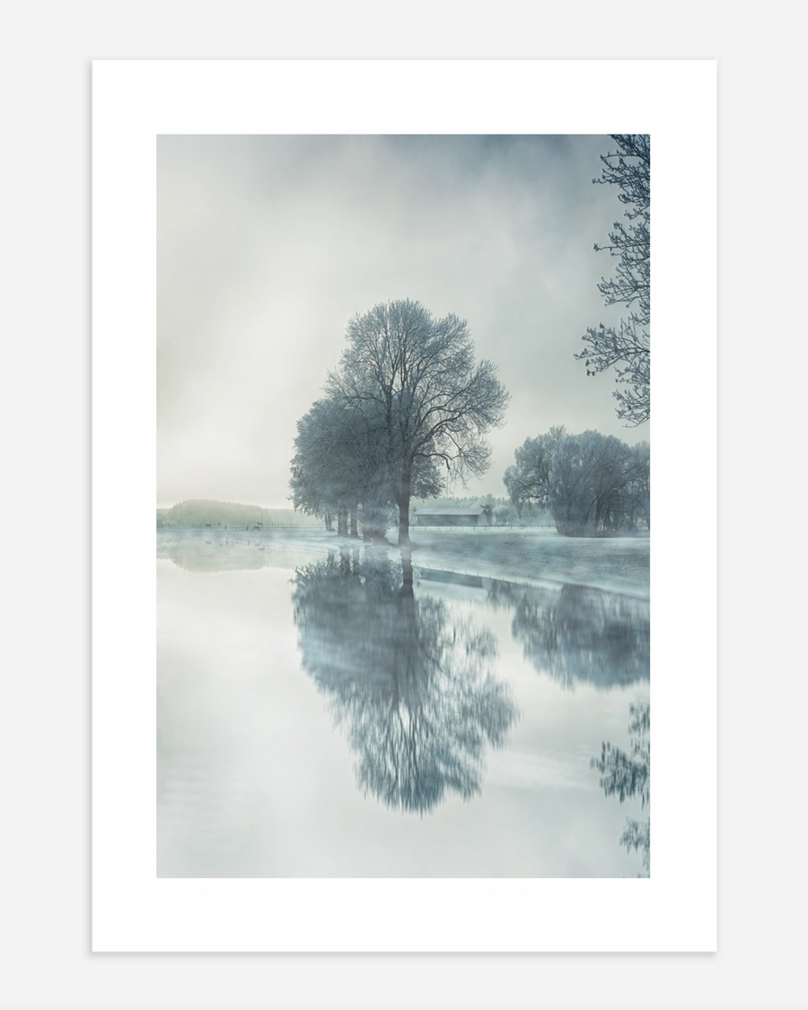 A poster of a Frosty trees reflected in calm misty winter water