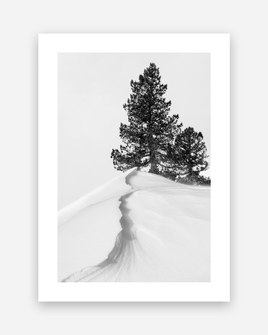 Snowdrift Pines poster with a white border, unframed on a light gray background