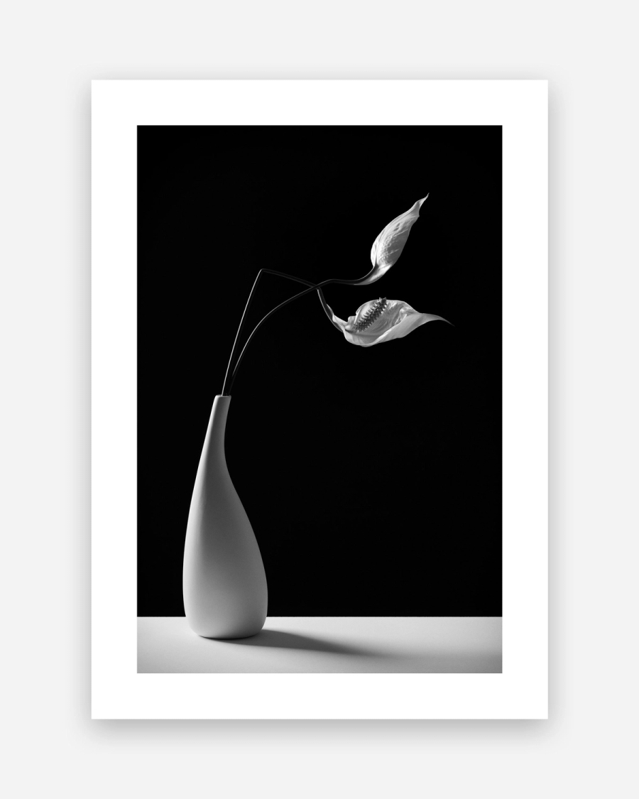 Porcelain Lily poster with a white border, unframed on a light gray background