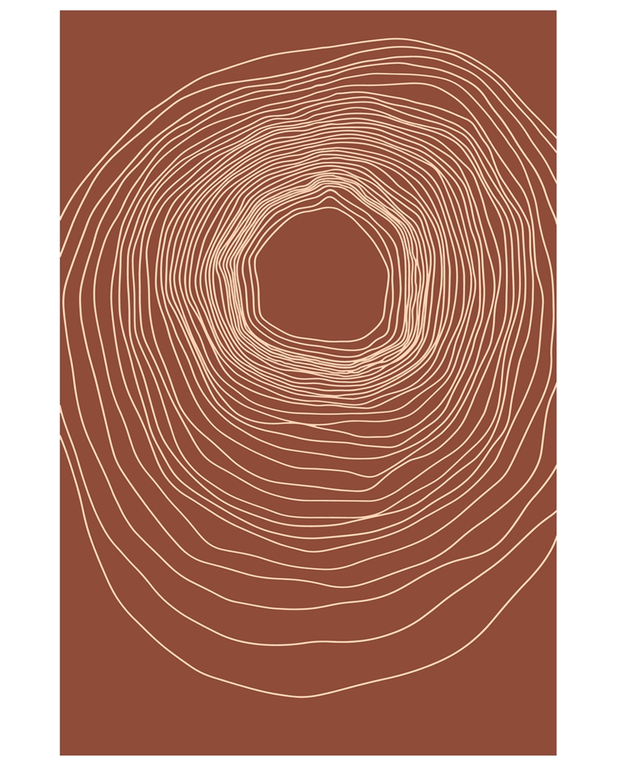 Terracotta posters with abstract organic line designs