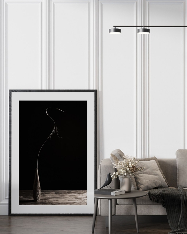Stem in Shadow poster in a large black frame leaning against a panelled wall beside a grey sofa
