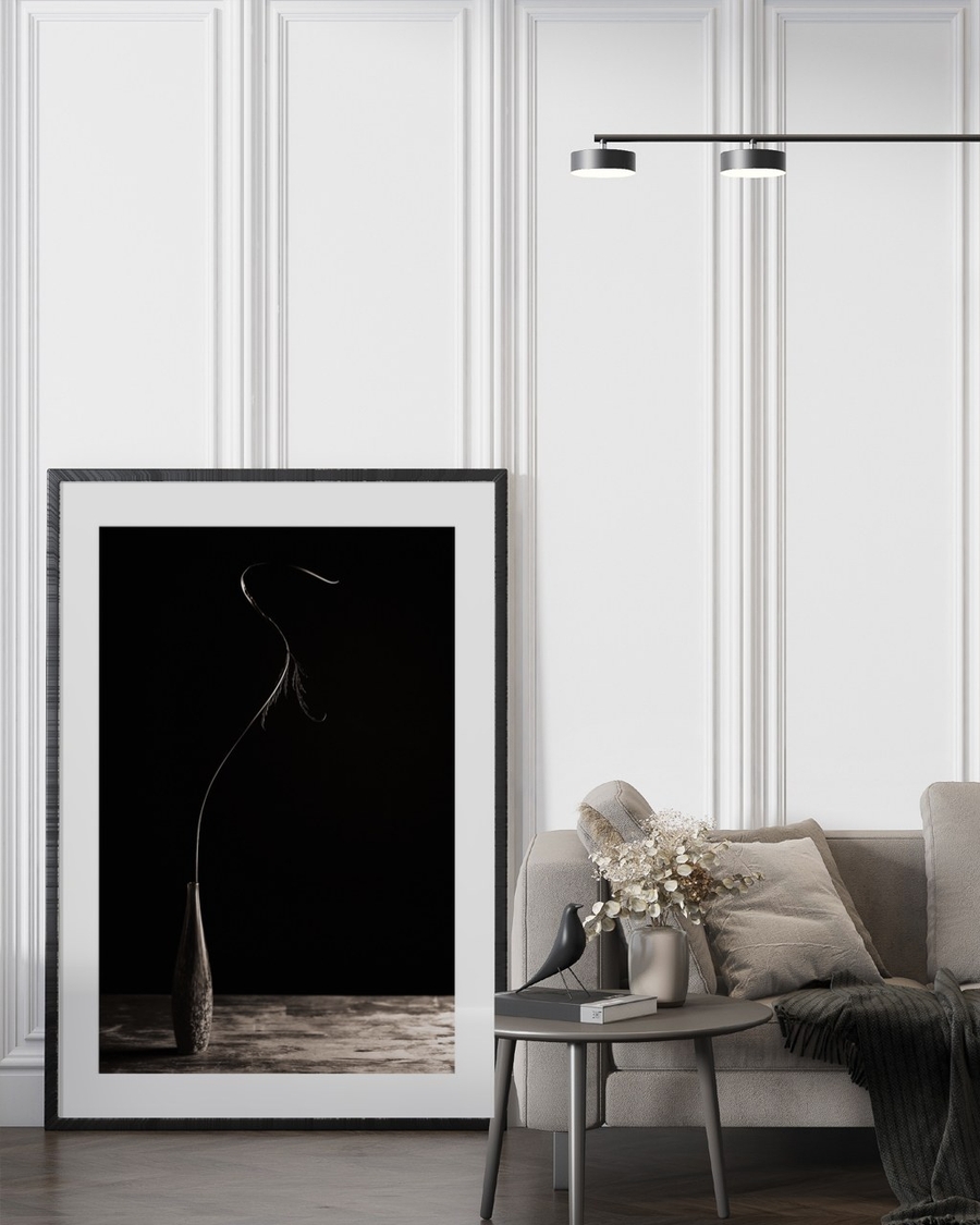 Stem in Shadow poster in a large black frame leaning against a panelled wall beside a grey sofa