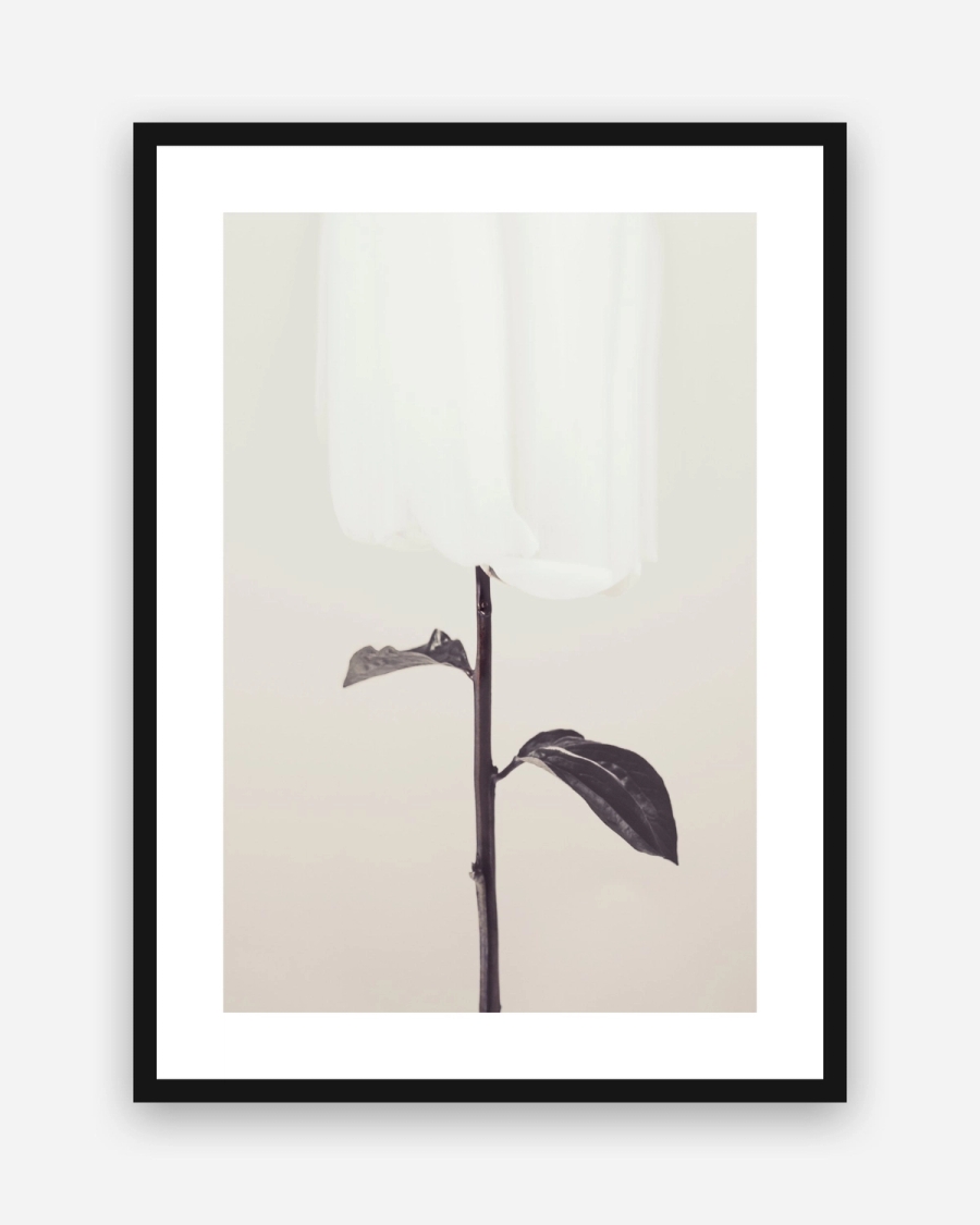 Veiled Bloom poster with a white border in a black frame