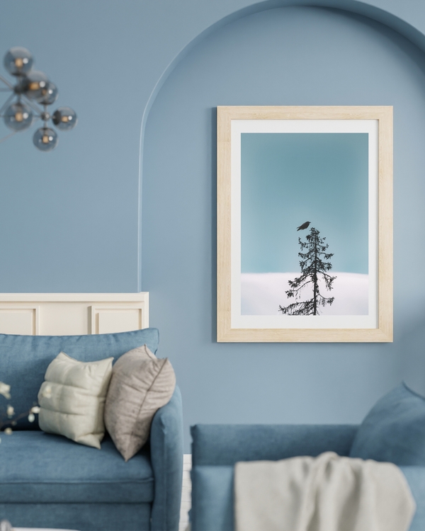 A poster of a Bird resting on tall tree against open sky