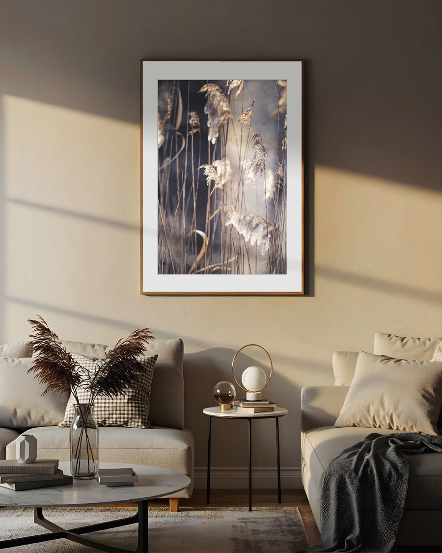 A poster of a Golden reeds in soft sunlight with blurred natural background