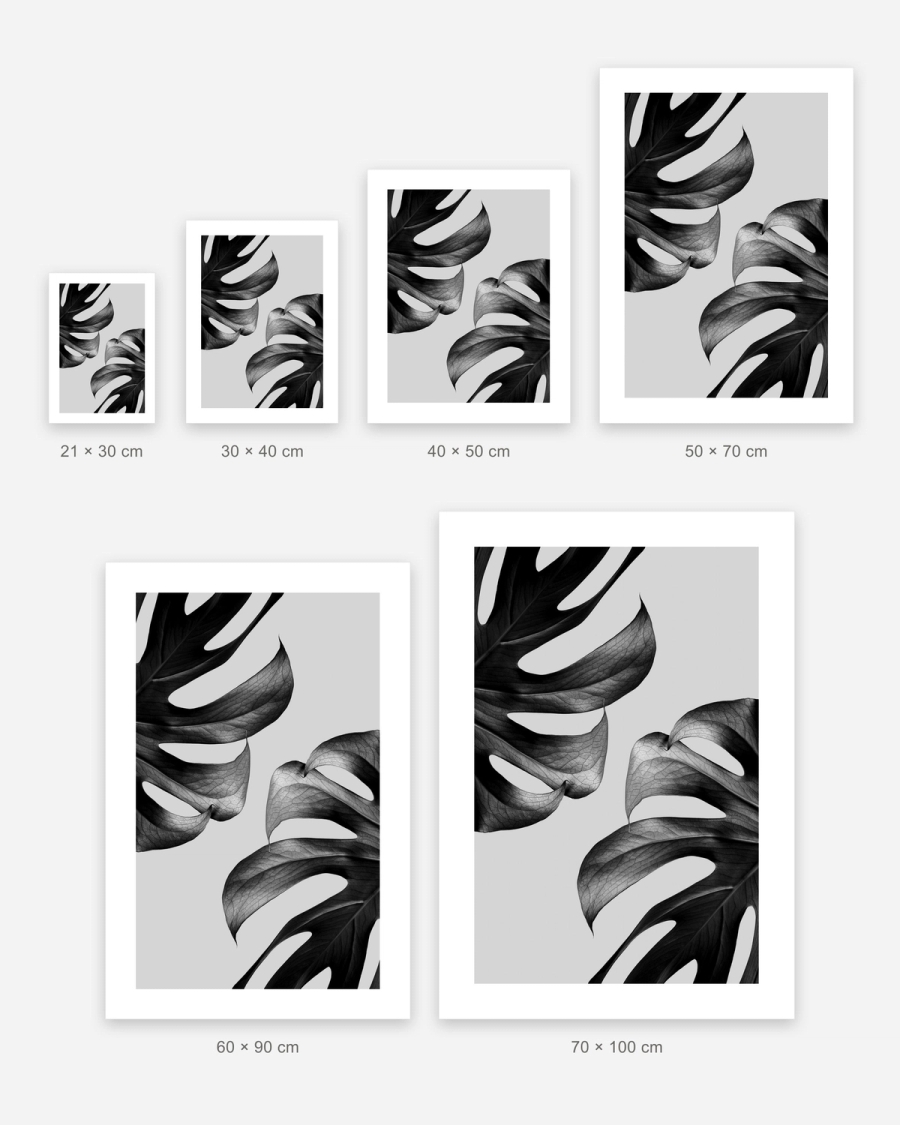 Monstera Noir poster in 6 sizes, shown to scale: 21 × 30, 30 × 40, 40 × 50, 50 × 70, 60 × 90 and 70 × 100 cm