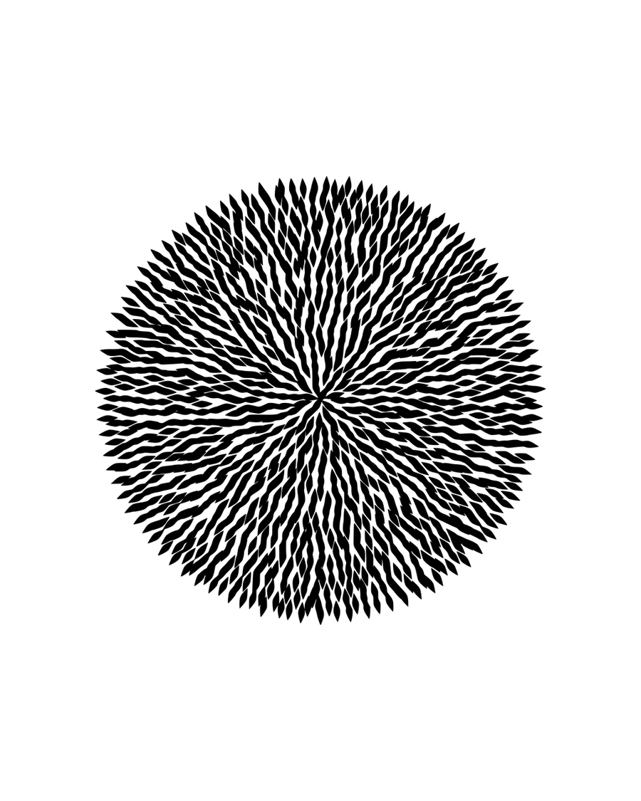 Poster of a dandelion-like lines in black on a white background