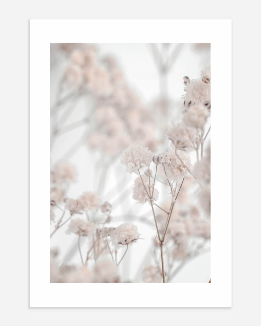 A poster of a Soft blush dried flowers with dreamy blurred background