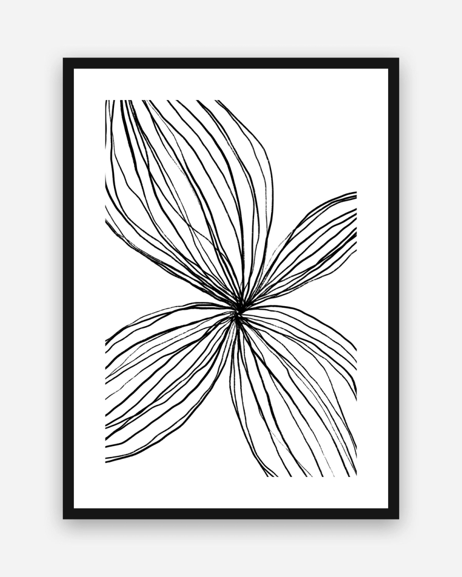 Petal Lines poster with a white border in a black frame