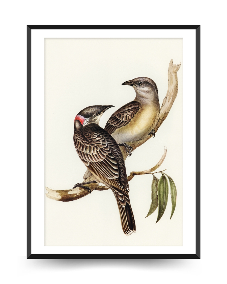 A poster of a Illustrated birds sitting together on tree branch