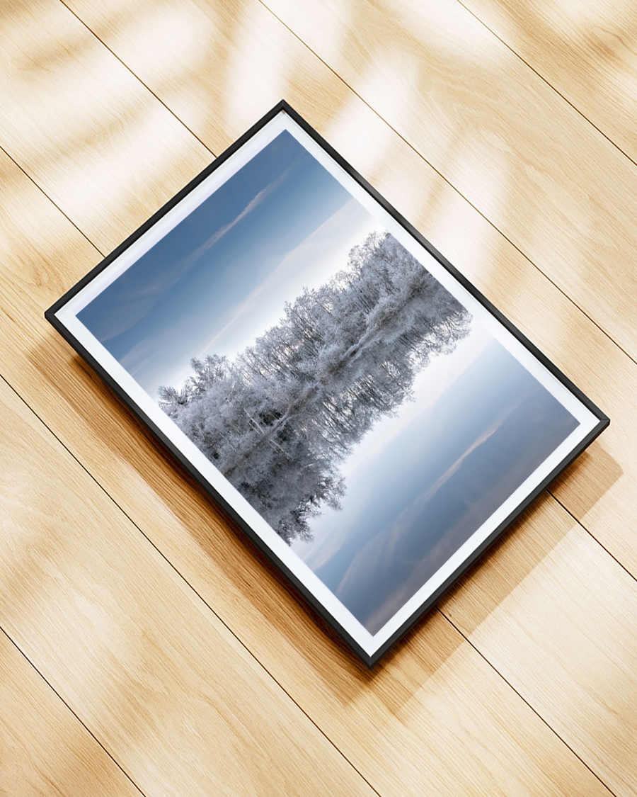 A poster of a Frost-covered trees reflected in calm winter lake