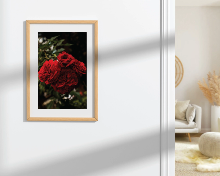 Red bucket flower poster on a white wall