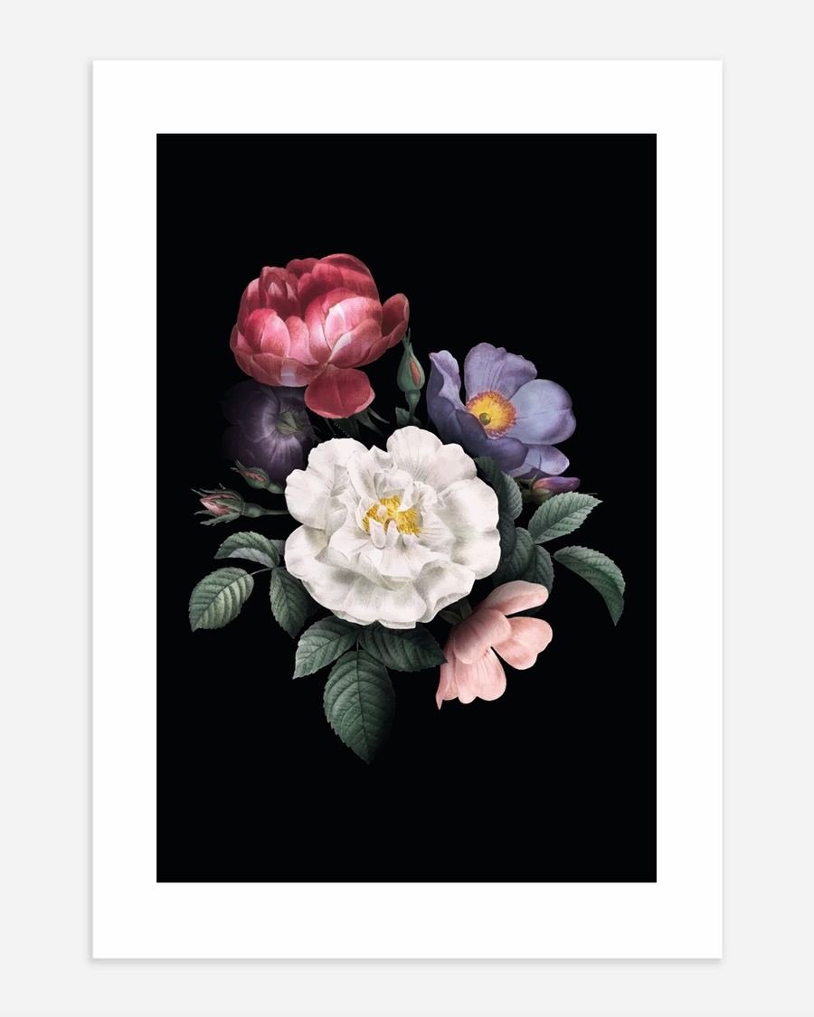A poster of a Botanical flowers in rich colors on black