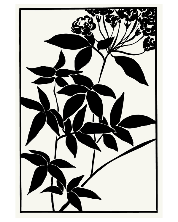 Black botanical silhouette artwork on ivory background.