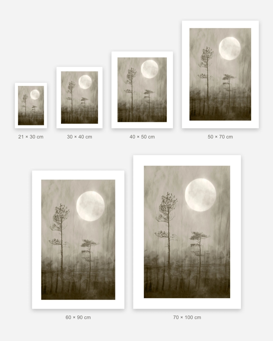 Moonlit Pines poster in 6 sizes, shown to scale: 21 × 30, 30 × 40, 40 × 50, 50 × 70, 60 × 90 and 70 × 100 cm