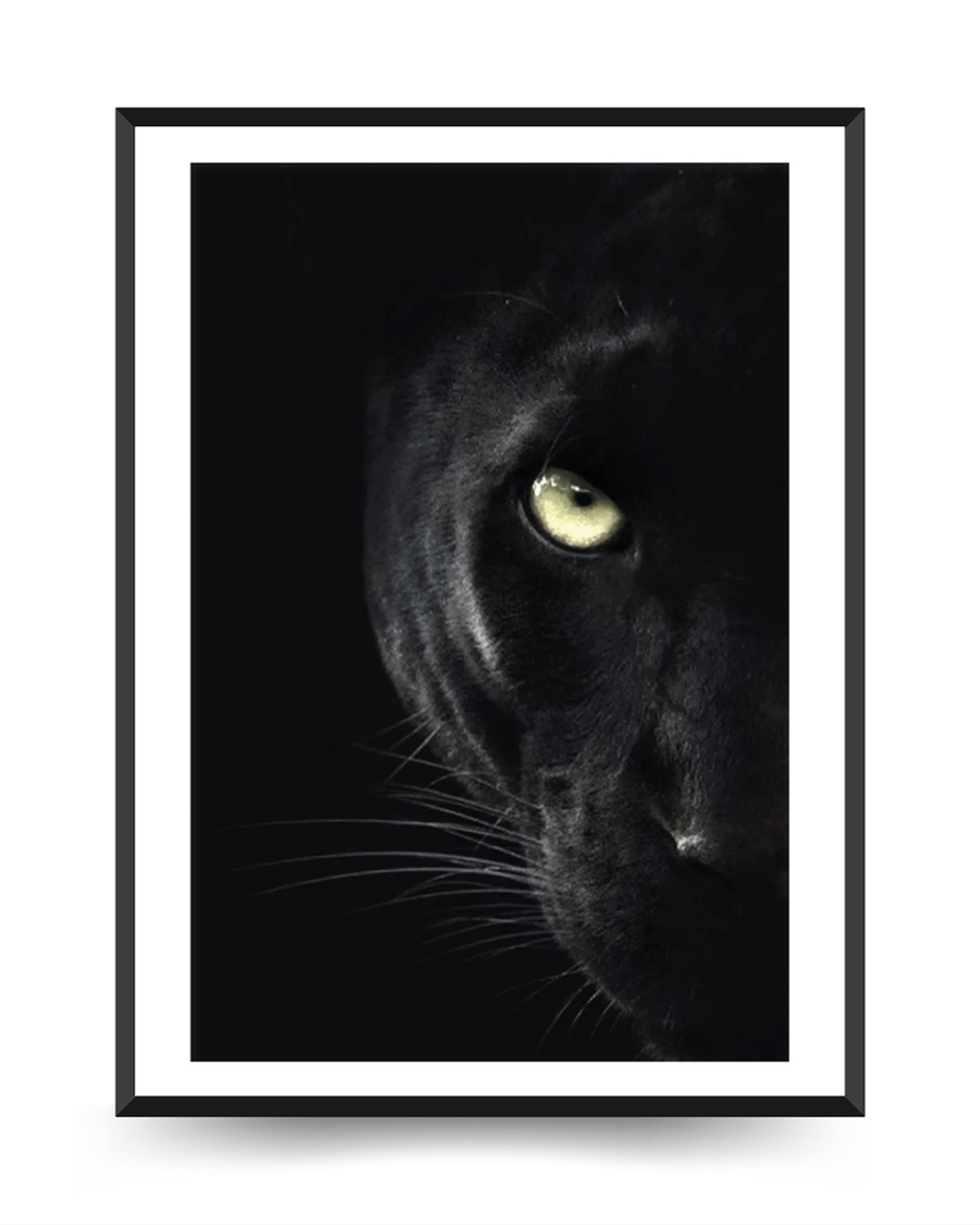 A poster of a Black panther face emerging from dark shadows
