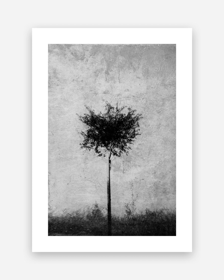 Silver Grain Tree poster with a white border, unframed on a light gray background