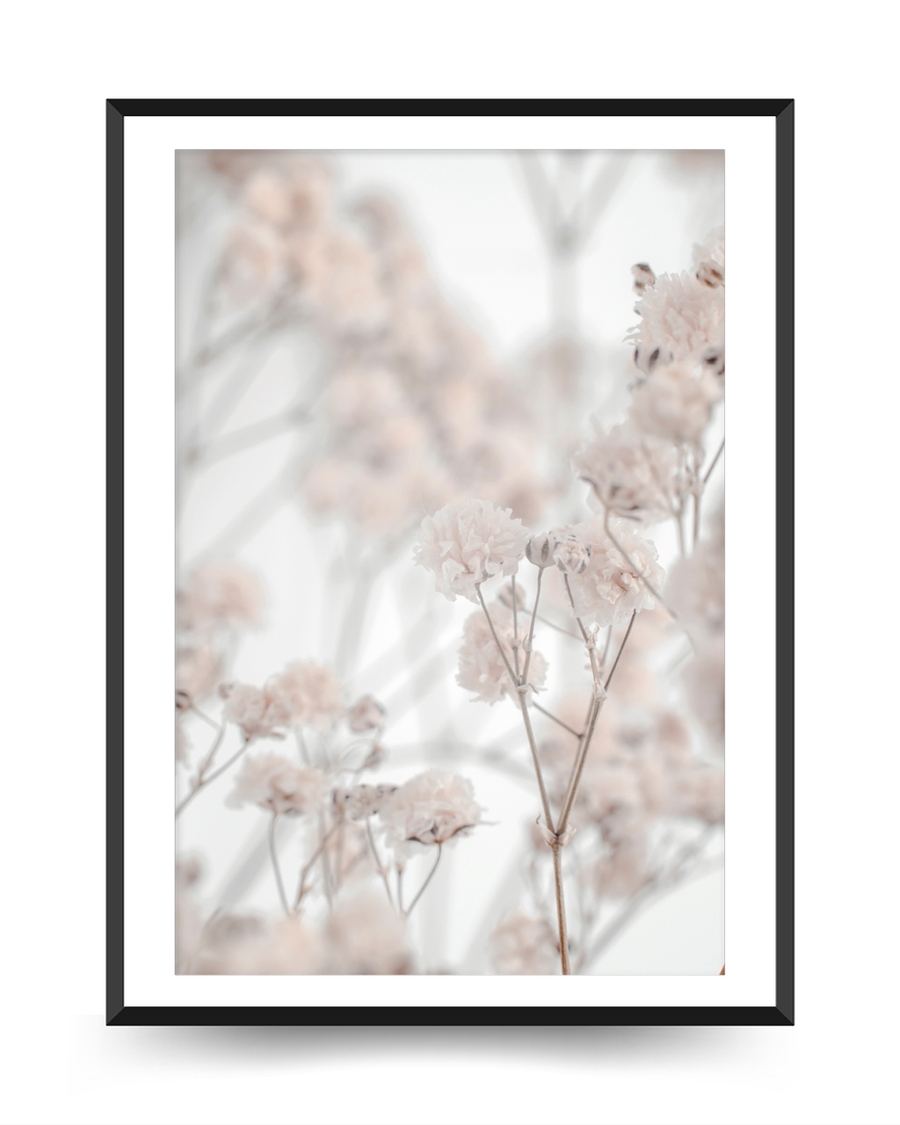 A poster of a Soft blush dried flowers with dreamy blurred background