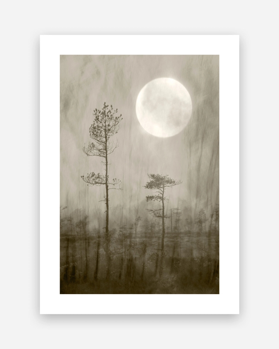 Moonlit Pines poster with a white border, unframed on a light gray background